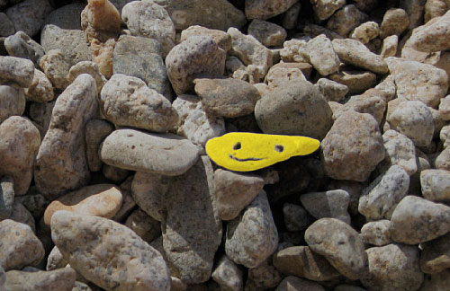 Unter vielen Steinen befindet sich einer, der ein Gesicht hat, wie ein Smiley.